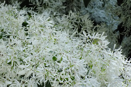 f:id:miyako2226:20180506215518j:image f:id:miyako2226:20180506215518j:image