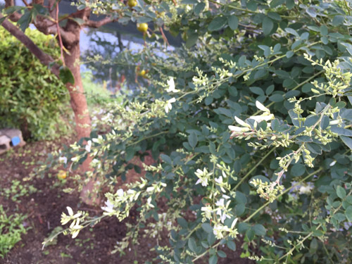 f:id:miyako2226:20180918113029j:image