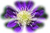 f:id:miyako2226:20181128223403j:plain