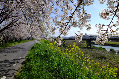 f:id:miyako2226:20190414205008j:plain f:id:miyako2226:20190414205008j:plain