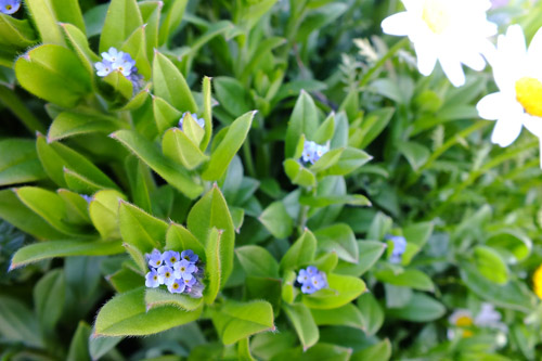 f:id:miyako2226:20190414213930j:plain f:id:miyako2226:20190414213930j:plain