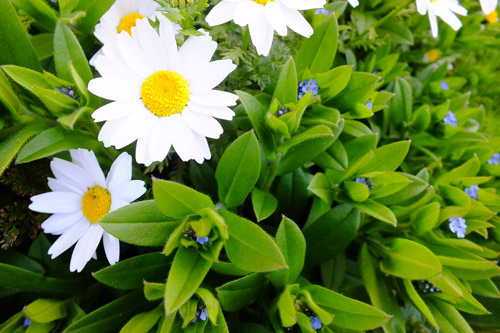 f:id:miyako2226:20190414214949j:plain f:id:miyako2226:20190414214949j:plain
