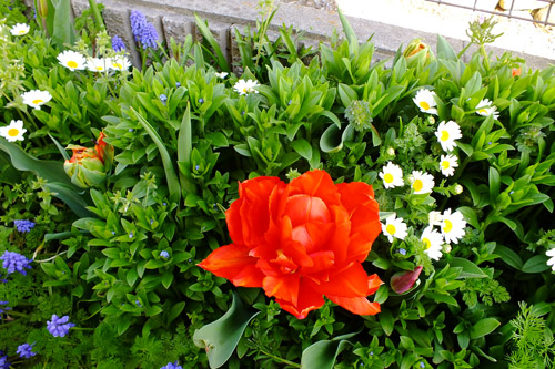 f:id:miyako2226:20190414221438j:plain f:id:miyako2226:20190414221438j:plain
