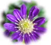 f:id:miyako2226:20190414222300j:plain f:id:miyako2226:20190414222300j:plain