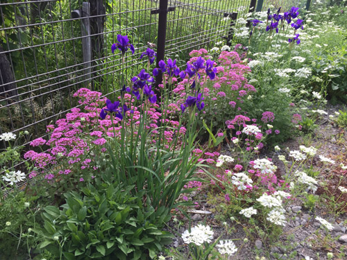 f:id:miyako2226:20190520220103j:plain f:id:miyako2226:20190520220103j:plain