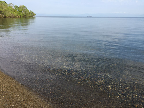 f:id:miyako2226:20190520221841j:plain f:id:miyako2226:20190520221841j:plain