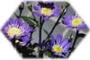 f:id:miyako2226:20190520224415j:plain f:id:miyako2226:20190520224415j:plain