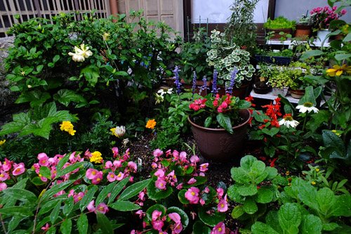 f:id:miyako2226:20190630115132j:plain