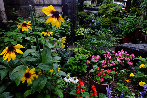 f:id:miyako2226:20190630115212j:plain