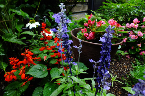 f:id:miyako2226:20190630120718j:plain