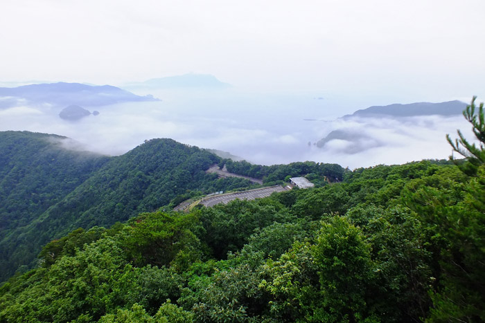f:id:miyako2226:20190718003739j:plain f:id:miyako2226:20190718003739j:plain
