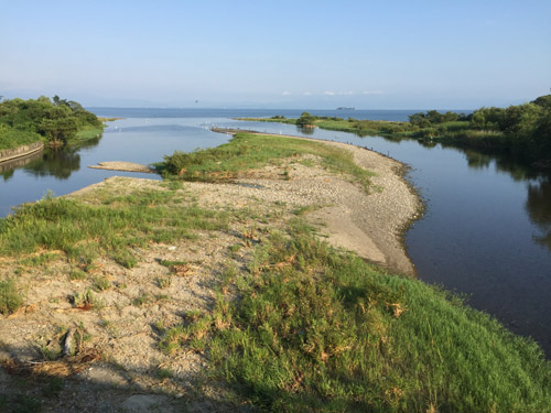 f:id:miyako2226:20190816161550j:plain f:id:miyako2226:20190816161550j:plain