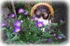 f:id:miyako2226:20190816193323j:plain f:id:miyako2226:20190816193323j:plain
