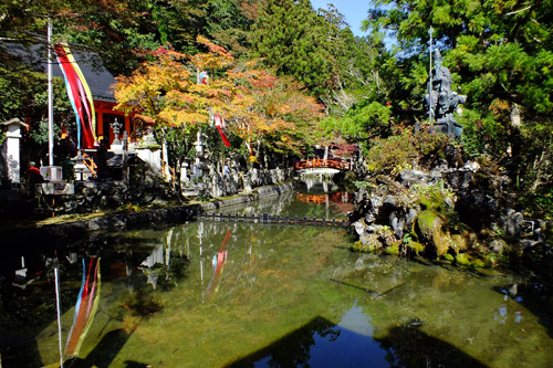 f:id:miyako2226:20191108220555j:plain f:id:miyako2226:20191108220555j:plain