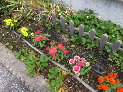 f:id:miyako2226:20200604191948j:plain