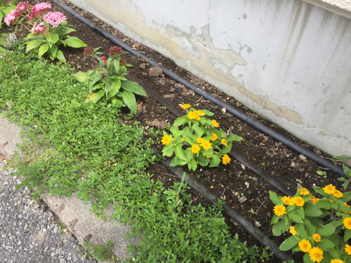 f:id:miyako2226:20200604192203j:plain