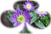 f:id:miyako2226:20200612193950j:plain f:id:miyako2226:20200612193950j:plain