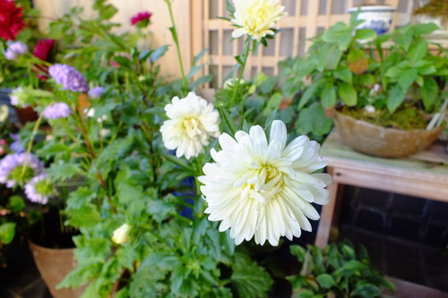 f:id:miyako2226:20200815175230j:plain