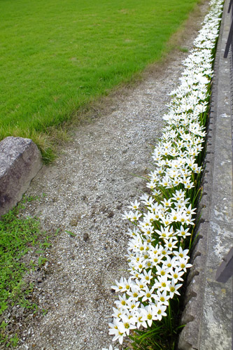 f:id:miyako2226:20200918175929j:plain f:id:miyako2226:20200918175929j:plain