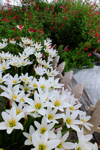 f:id:miyako2226:20200918175944j:plain f:id:miyako2226:20200918175944j:plain