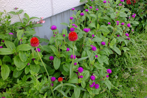 f:id:miyako2226:20200918190620j:plain f:id:miyako2226:20200918190620j:plain