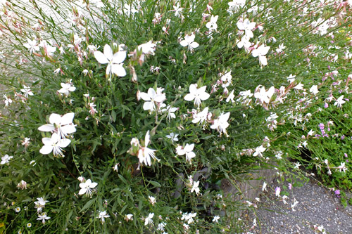f:id:miyako2226:20200918191142j:plain f:id:miyako2226:20200918191142j:plain