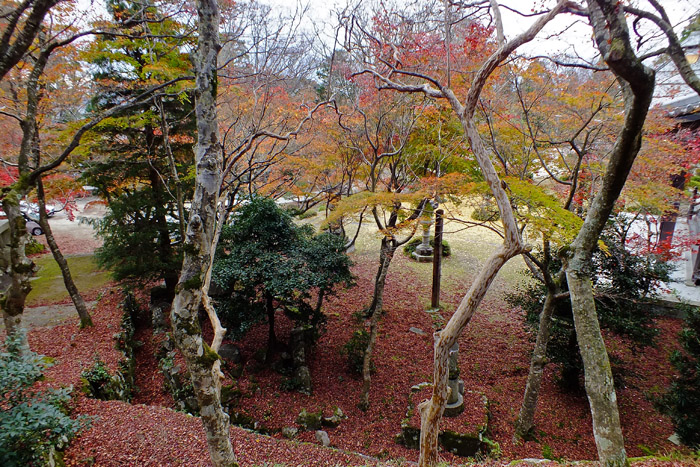 f:id:miyako2226:20201127224427j:plain