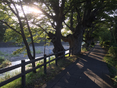f:id:miyako2226:20210831231635j:plain