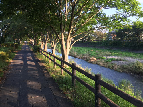 f:id:miyako2226:20210831231723j:plain