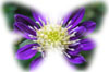 f:id:miyako2226:20210831234529j:plain