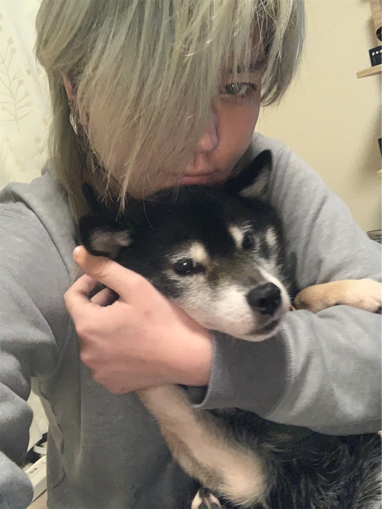 f:id:miyakokara:20200730000702j:image