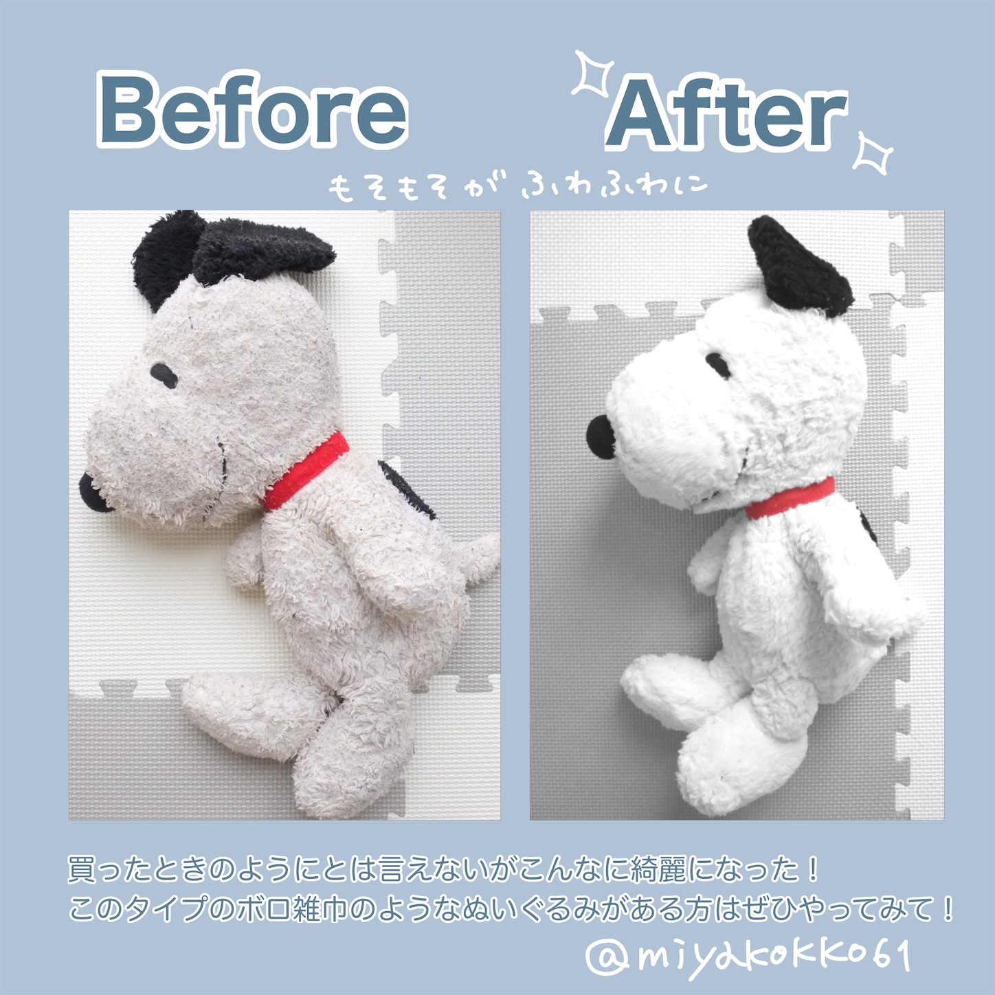 f:id:miyakokko61:20201114141926j:image f:id:miyakokko61:20201114141926j:image
