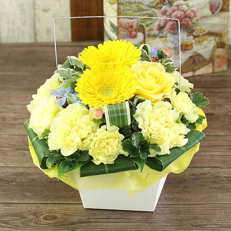 f:id:miyakonbuta:20200119224550j:plain f:id:miyakonbuta:20200119224550j:plain