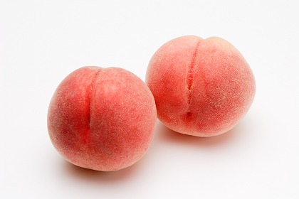 f:id:miyakotamachi:20160313122841j:plain