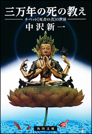 f:id:miyakotamachi:20190430191003j:plain