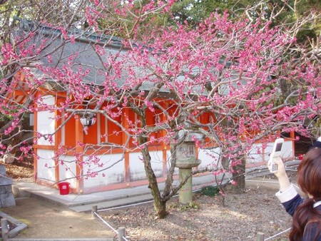 f:id:miyama:20080309214554j:image