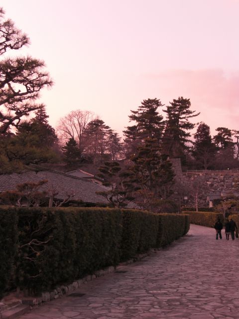 f:id:miyama:20110206221318j:image f:id:miyama:20110206221318j:image