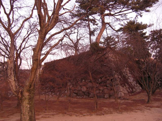 f:id:miyama:20110206221321j:image f:id:miyama:20110206221321j:image