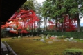 圓通寺