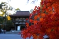 三井寺