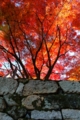 三井寺