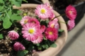 20130429193244