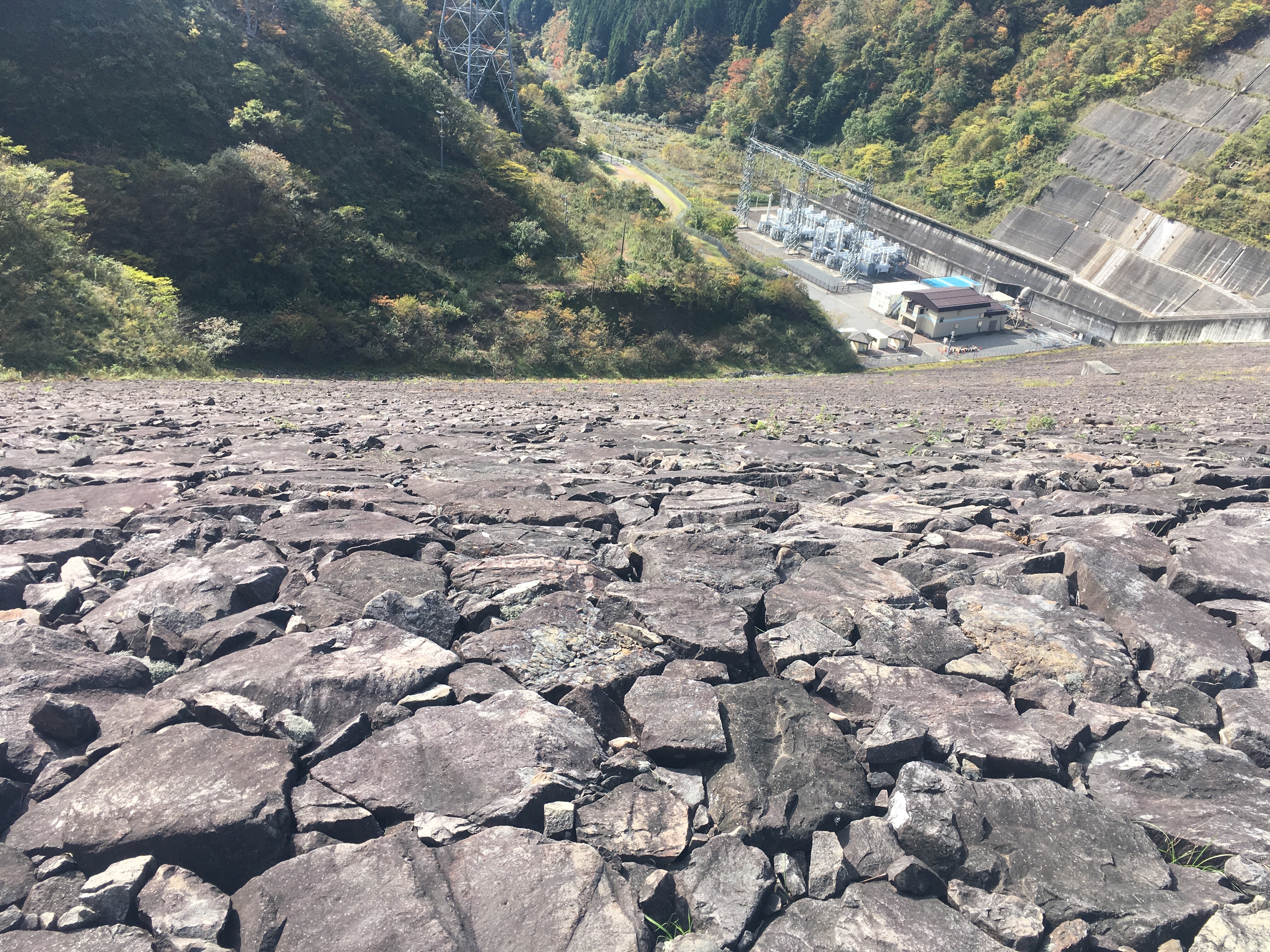 f:id:miyama1999:20211117134801j:image f:id:miyama1999:20211117134801j:image