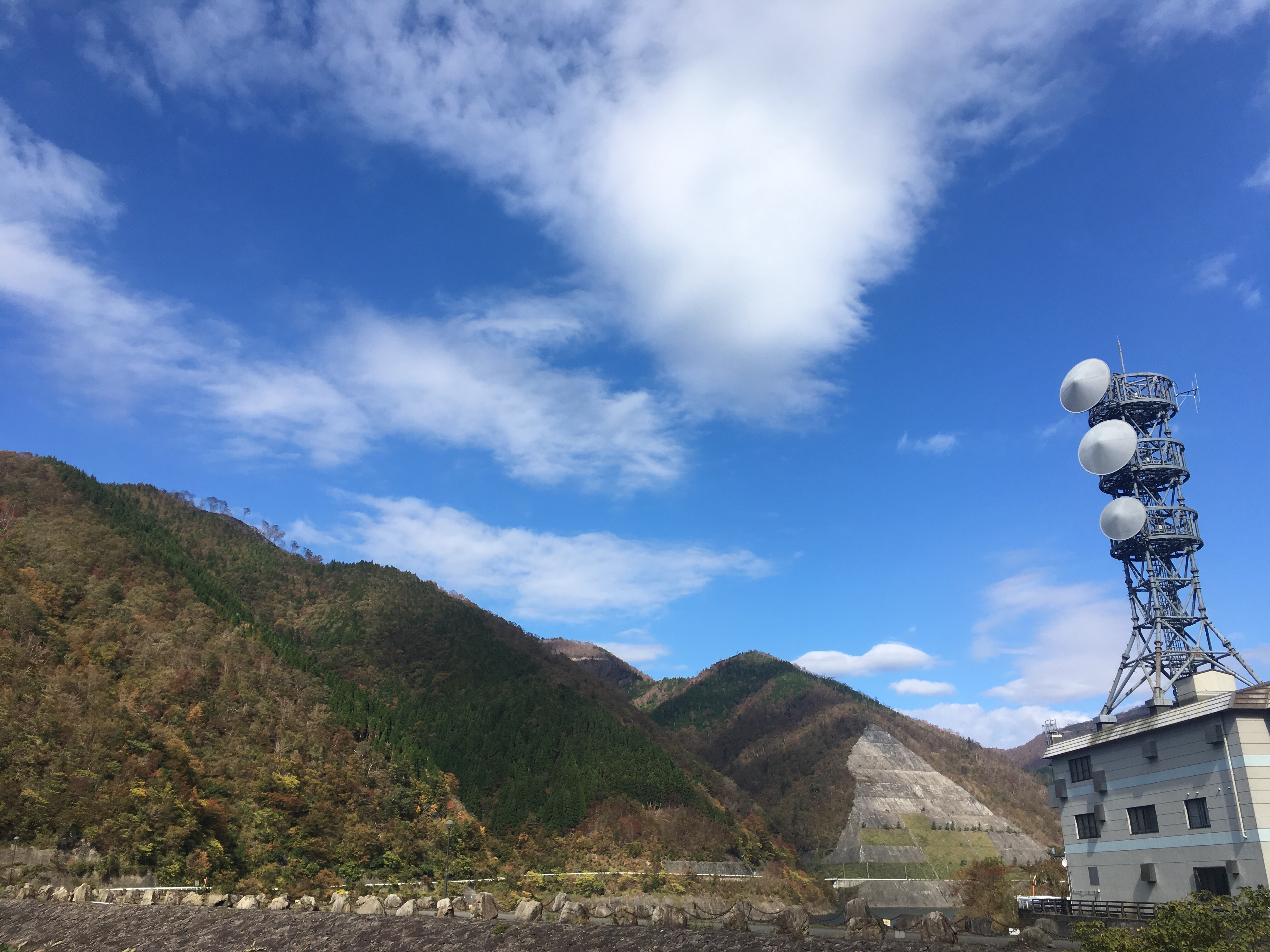 f:id:miyama1999:20211117134927j:image f:id:miyama1999:20211117134927j:image
