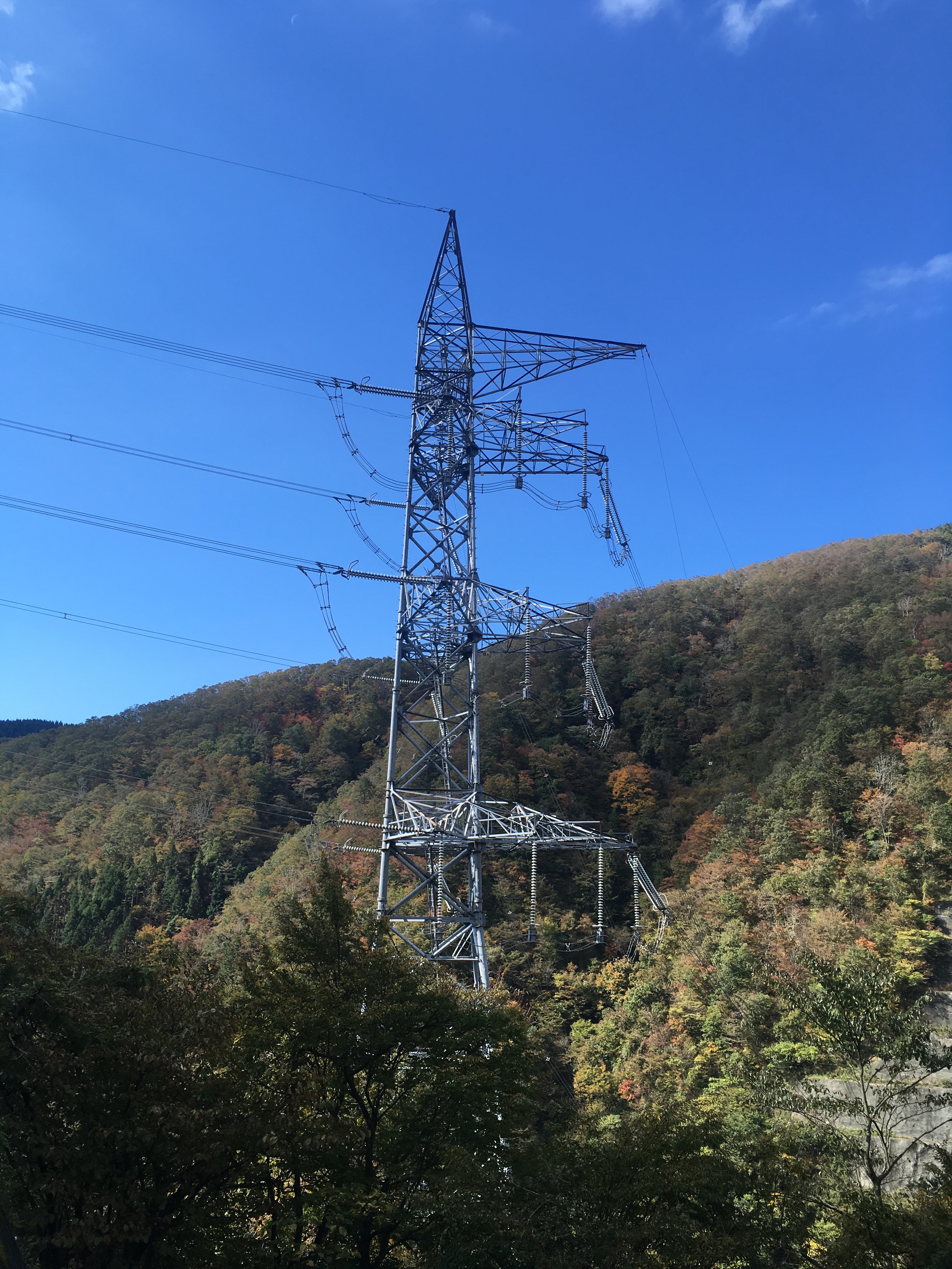 f:id:miyama1999:20211117135040j:image f:id:miyama1999:20211117135040j:image