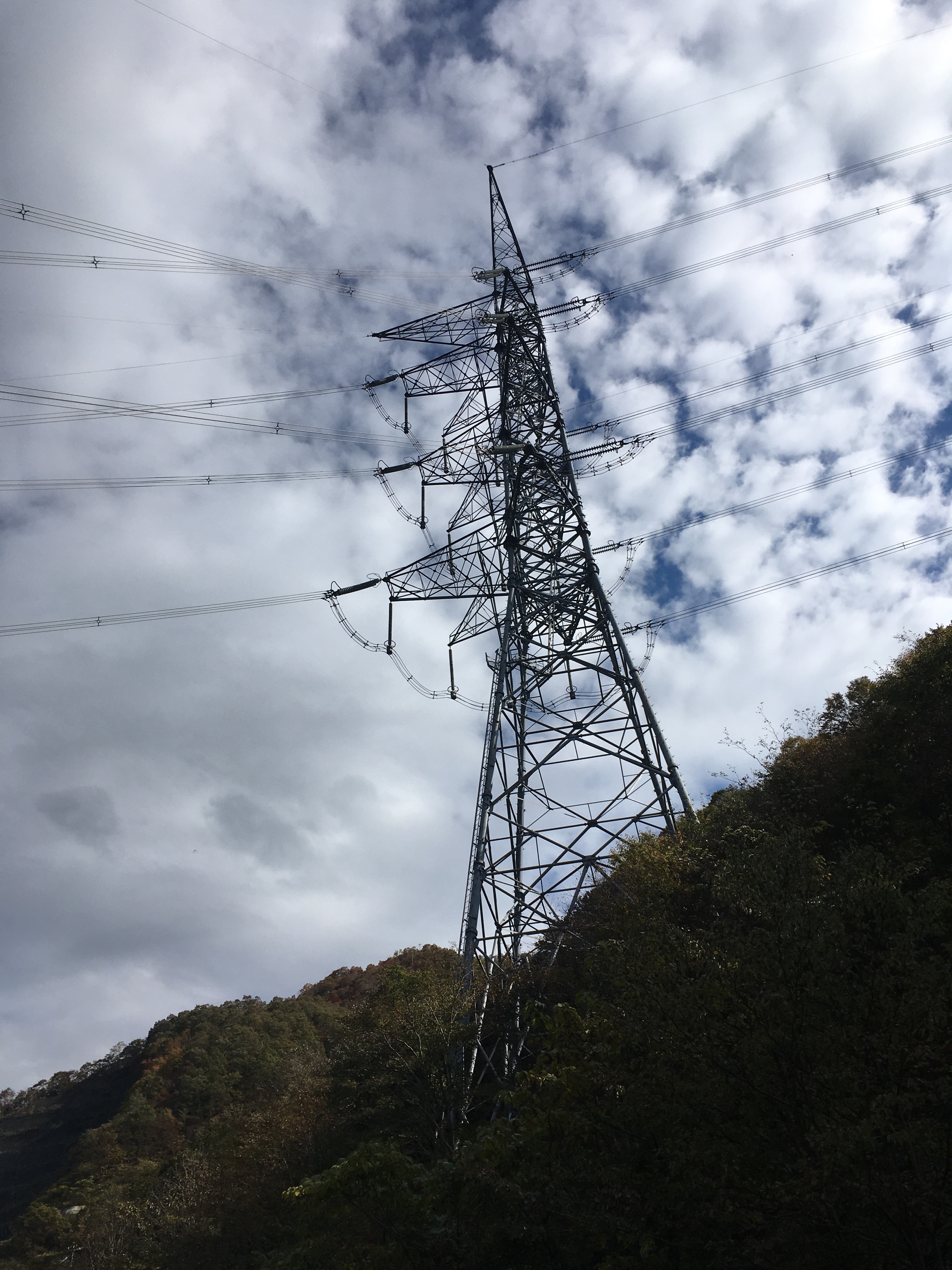 f:id:miyama1999:20211117135055j:image f:id:miyama1999:20211117135055j:image