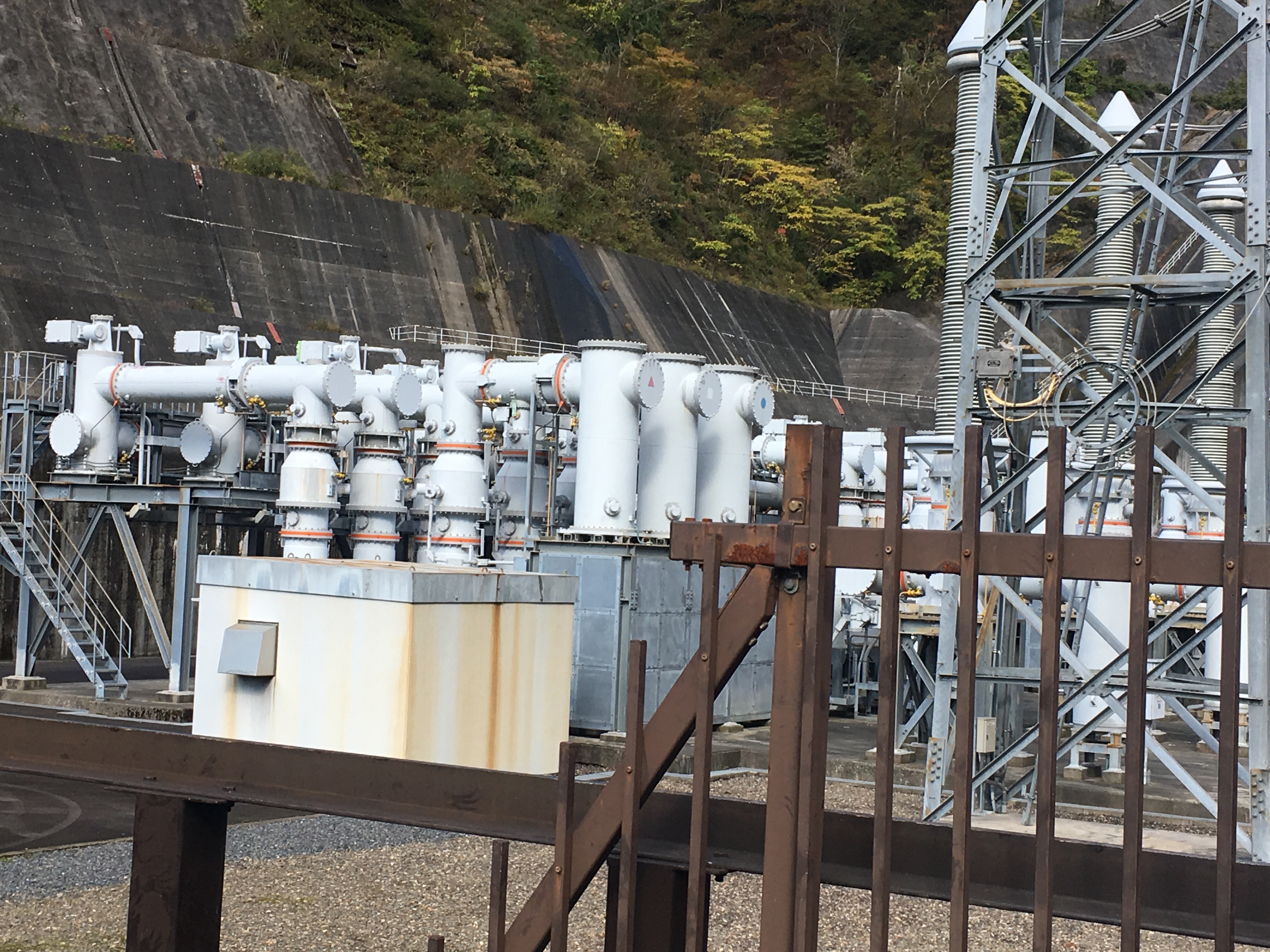 f:id:miyama1999:20211117135336j:image f:id:miyama1999:20211117135336j:image