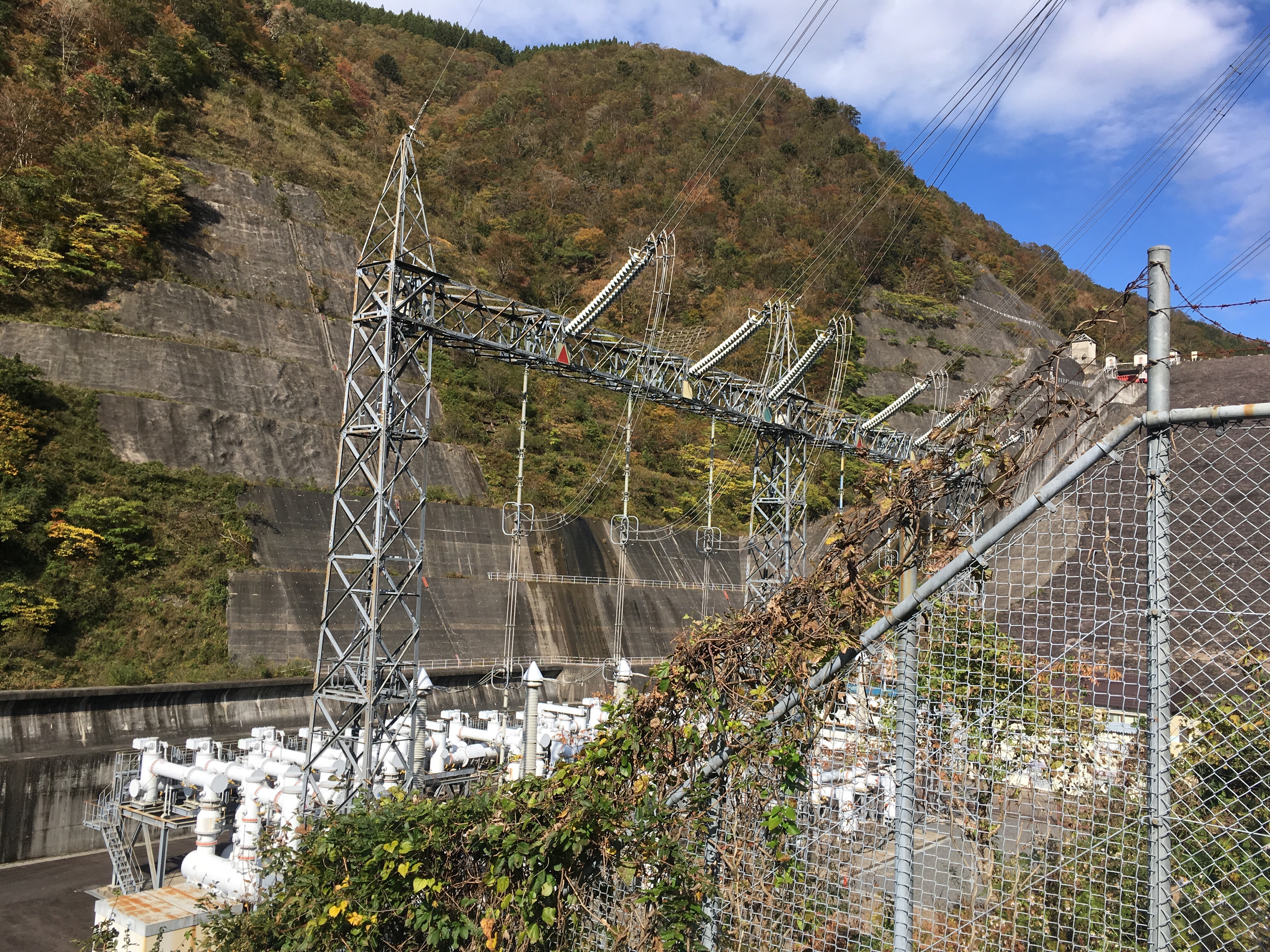 f:id:miyama1999:20211117135402j:image f:id:miyama1999:20211117135402j:image