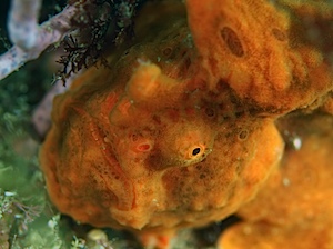 P6050050.JPG P6050050.JPG