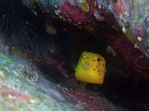 P6050061.JPG P6050061.JPG